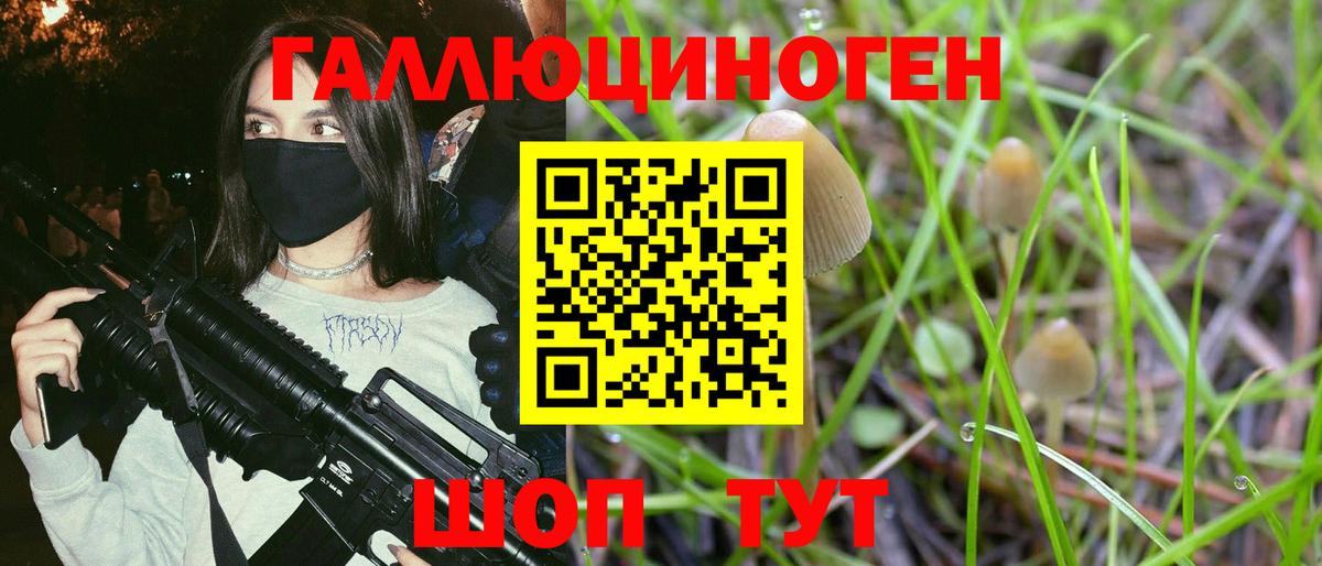 Псилоцибиновые грибы Psilocybine cubensis  где можно купить   Псилоцибиновые грибы мицелий  Кызыл  Вход с VPN 